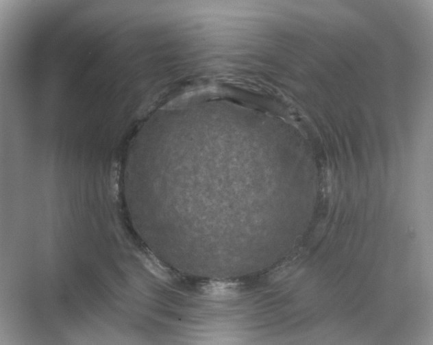 X0000068740664200605121545