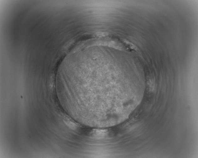 X0000068740665200605121545