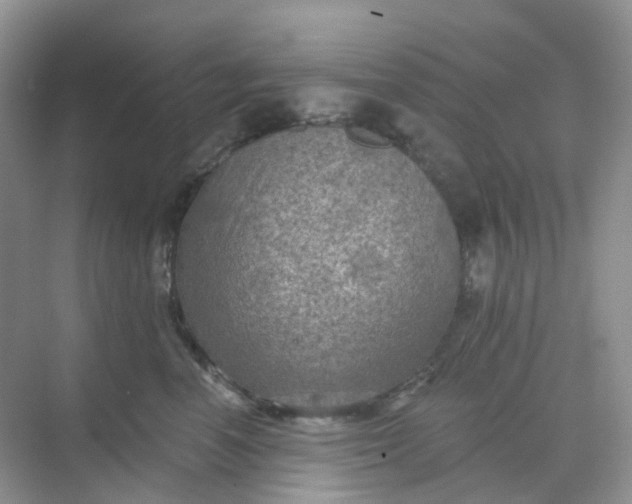 X0000068740666200605121545