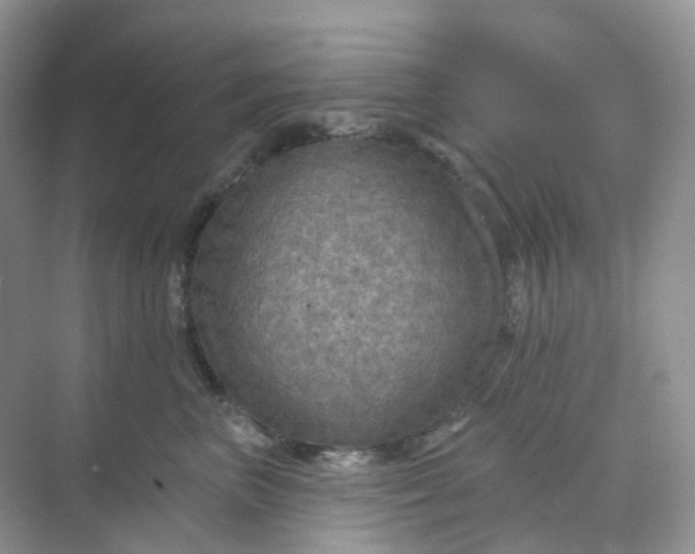 X0000068740667200605121545