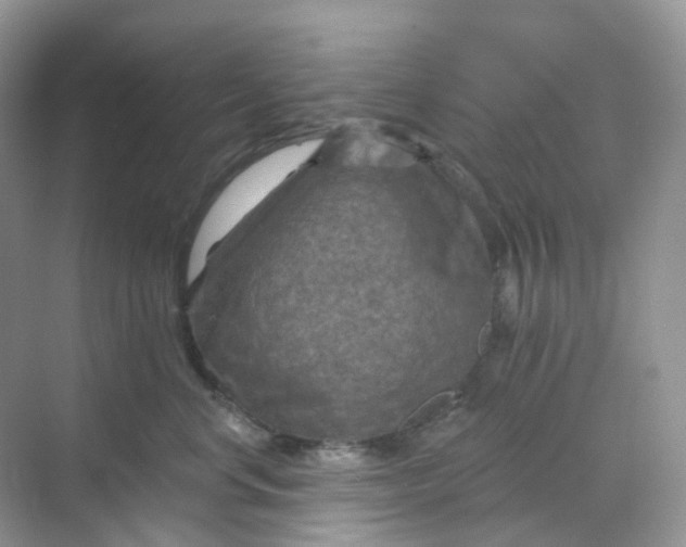 X0000068740668200605121545