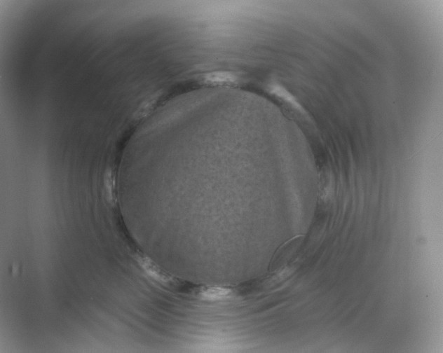 X0000068740669200605121545