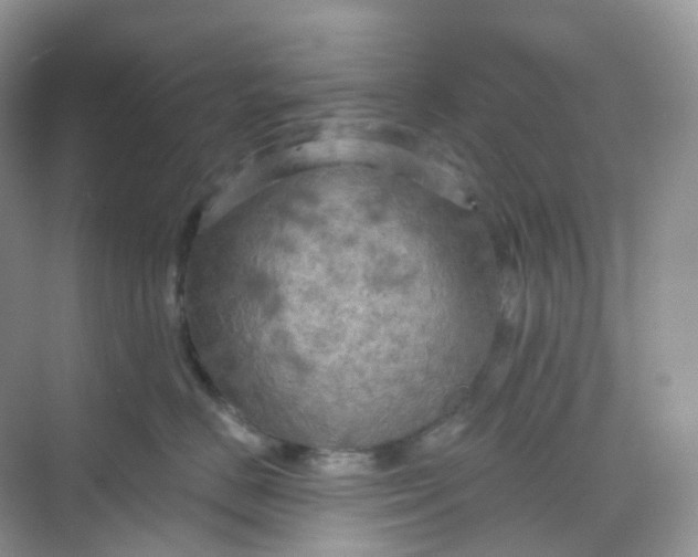 X0000068740670200605121545