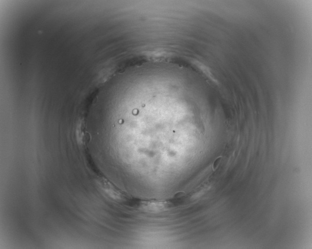 X0000068740671200605121545