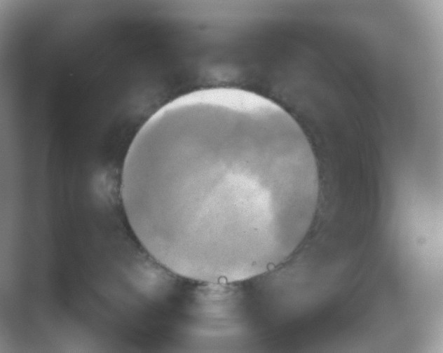 X0000068740672200605121545