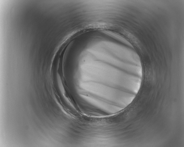 X0000068740674200605121544