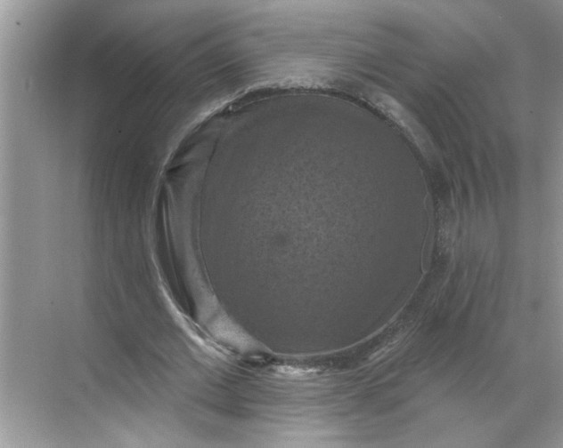 X0000068740677200605121544