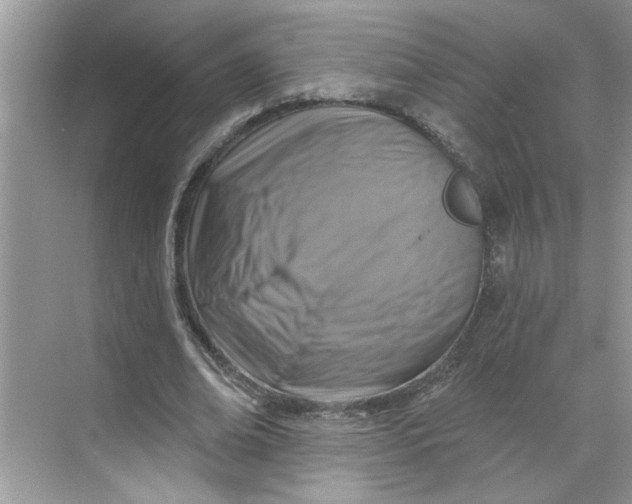 X0000068740678200605121544