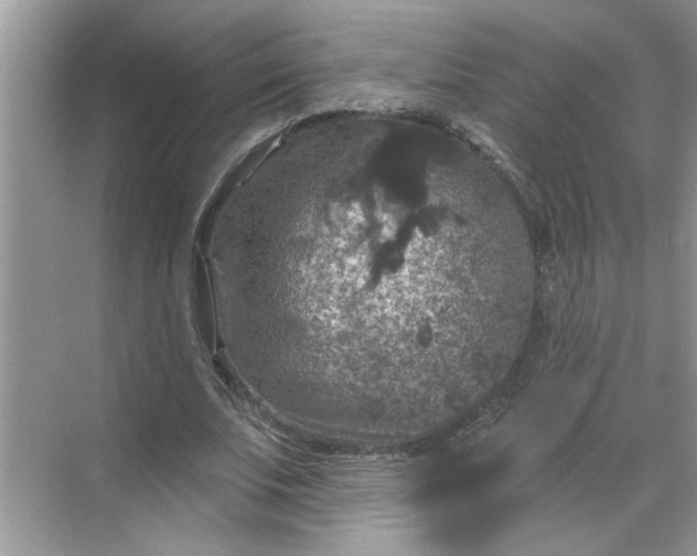 X0000068740679200605121544