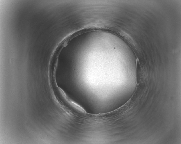 X0000068740680200605121544