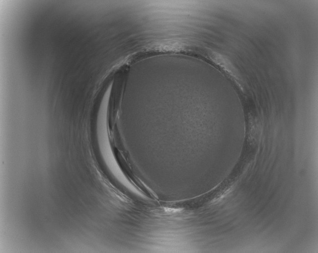 X0000068740681200605121544