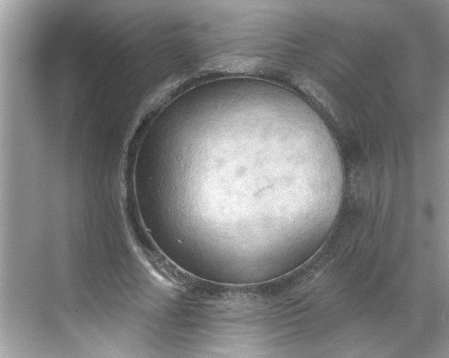 X0000068740682200605121544