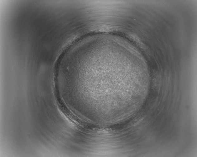 X0000068740683200605121544