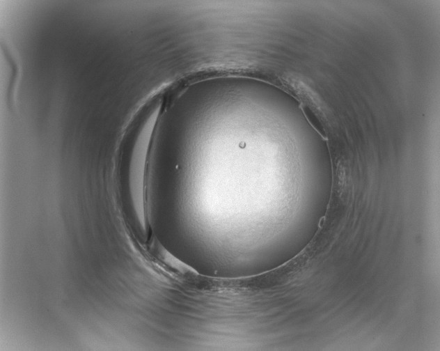 X0000068740684200605121544