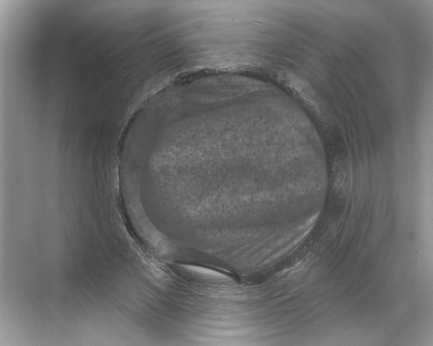 X0000068740685200605121544