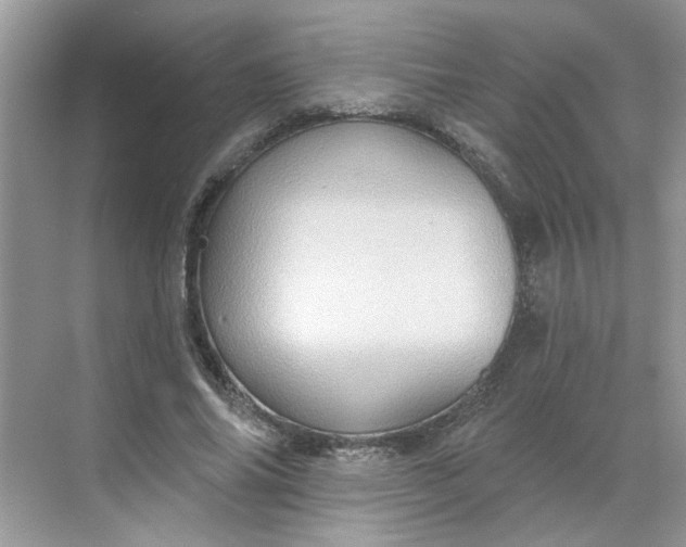 X0000068740686200605121544