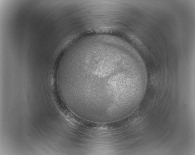 X0000068740687200605121544