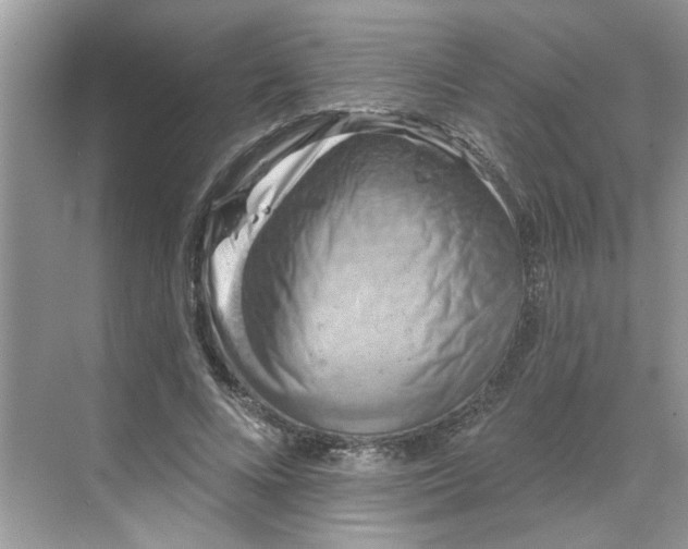 X0000068740688200605121544