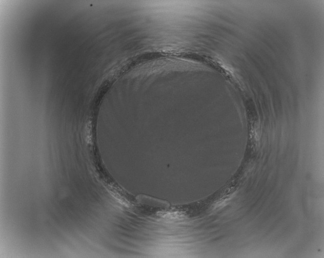 X0000068740689200605121544