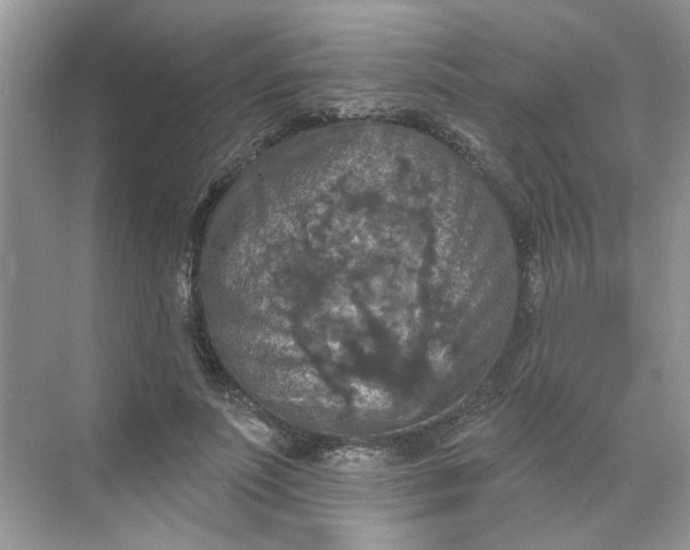 X0000068740691200605121544