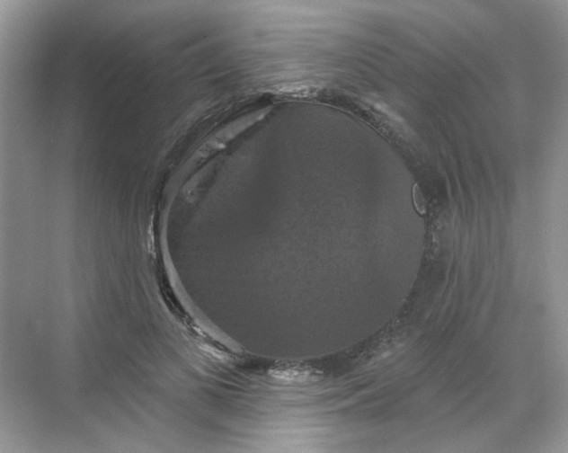 X0000068740693200605121544