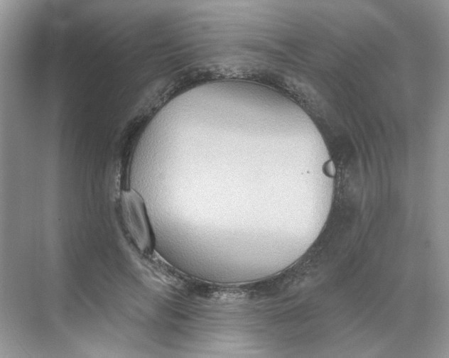 X0000068740694200605121544