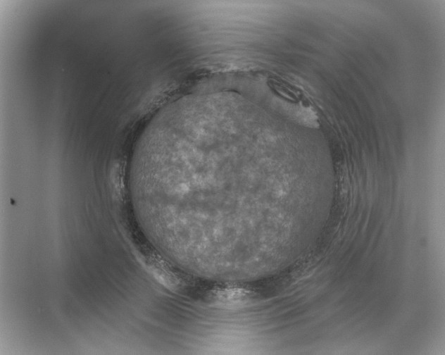 X0000068740695200605121544