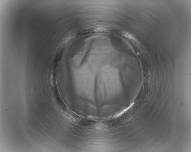 X0000068740696200605121544