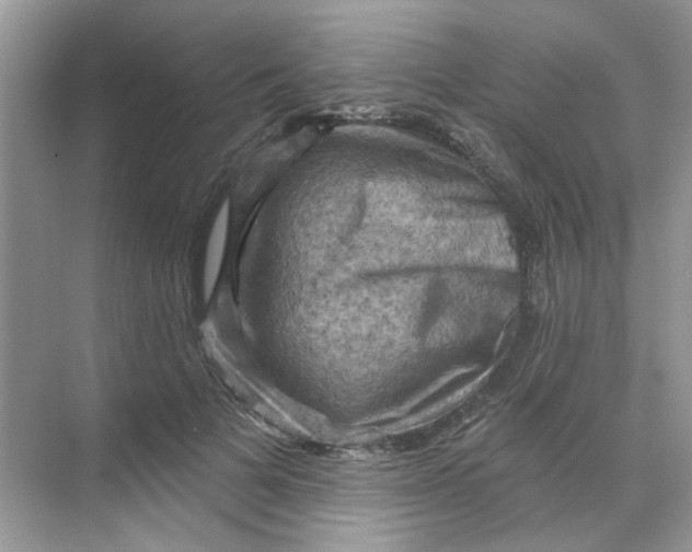 X0000068740697200605121544