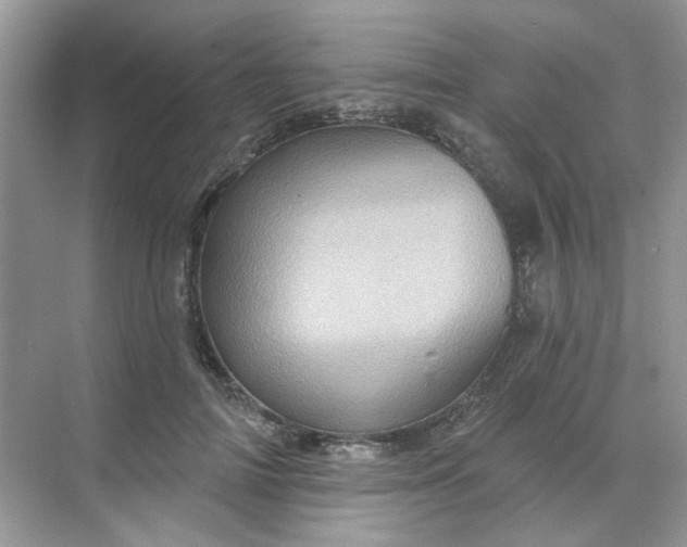 X0000068740698200605121544