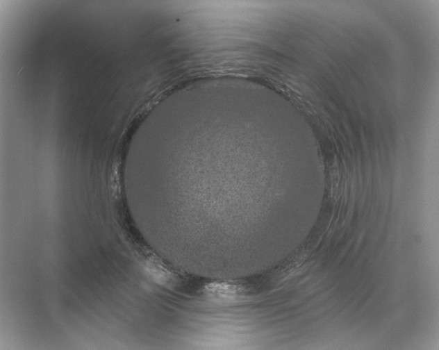 X0000068740699200605121544