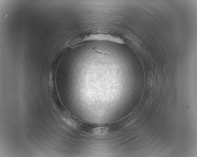 X0000068740700200605121544