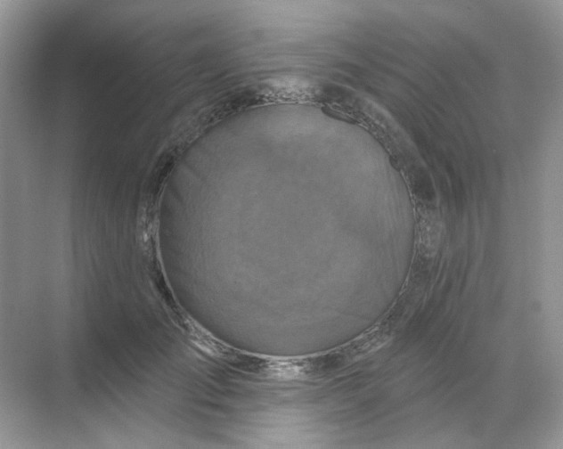 X0000068740701200605121544