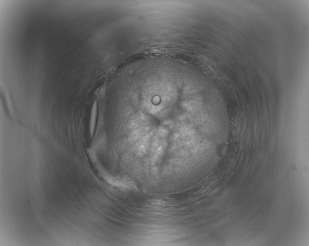 X0000068740703200605121544