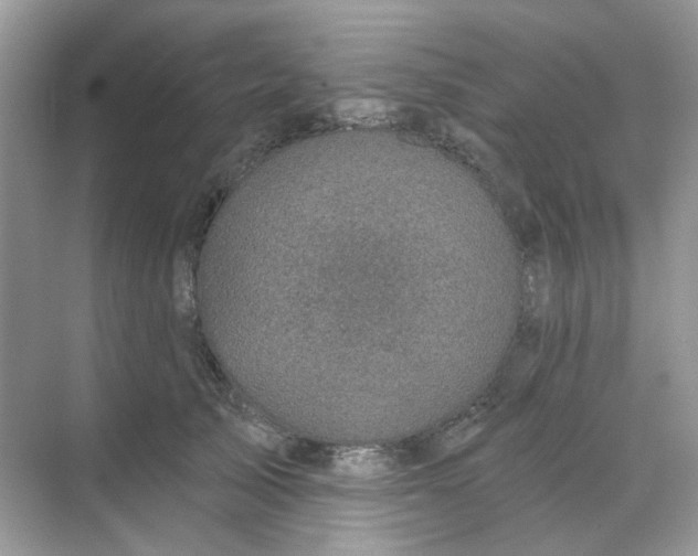 X0000068740705200605121544