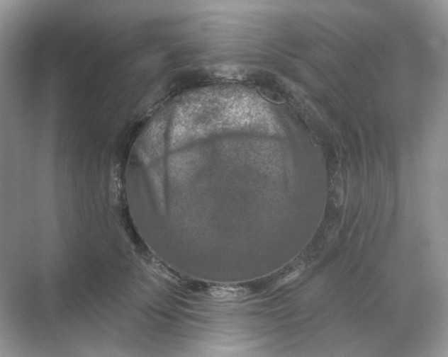 X0000068740707200605121544