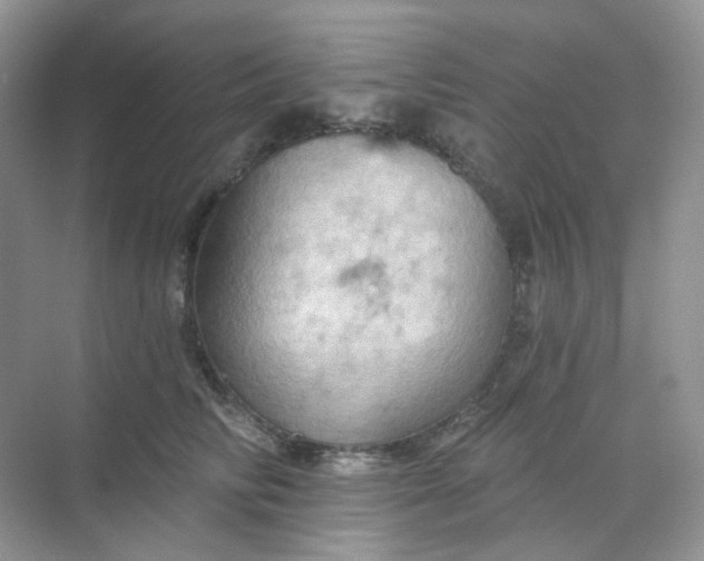 X0000068740710200605121544