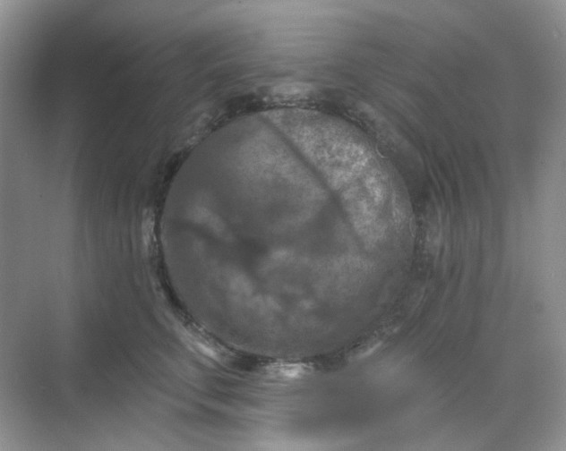 X0000068740711200605121544