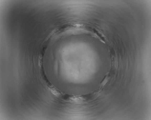 X0000068740712200605121544