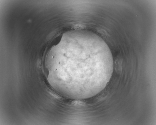 X0000068740714200605121544