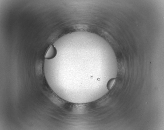 X0000068740717200605121544