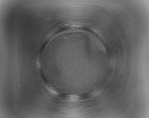 X0000068740719200605121544