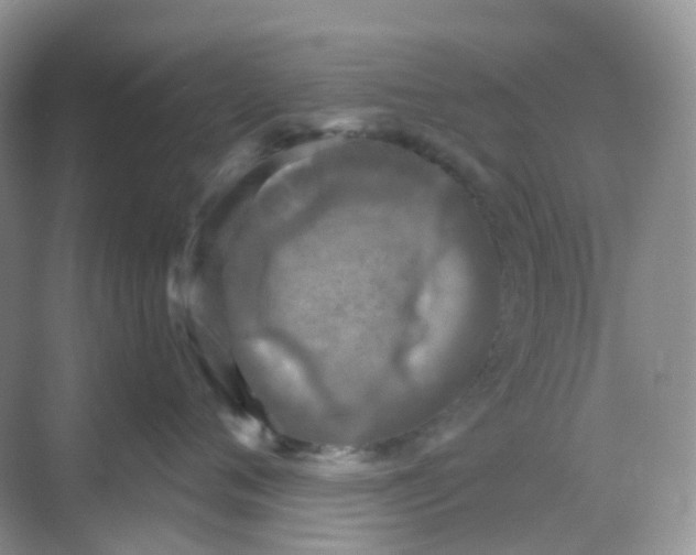 X0000068740720200605121544