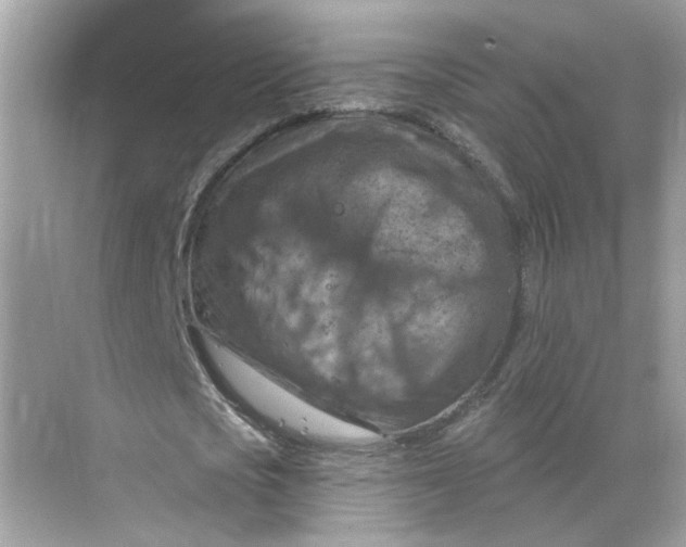 X0000068740721200605121543