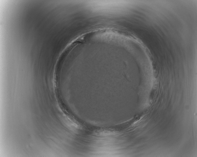 X0000068740722200605121543