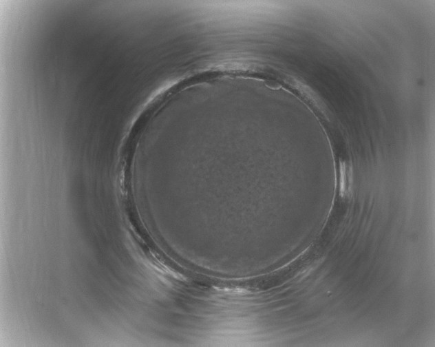 X0000068740723200605121543