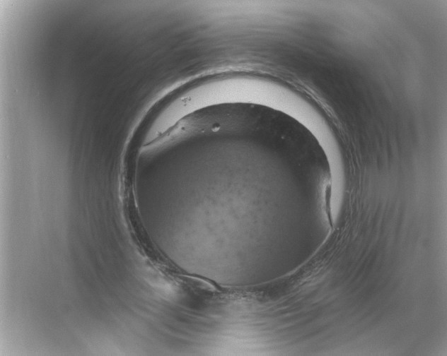 X0000068740724200605121543