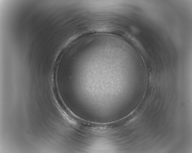 X0000068740725200605121543