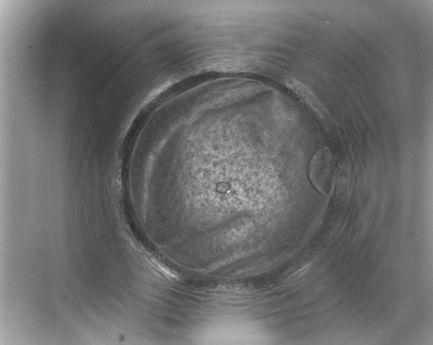 X0000068740727200605121543