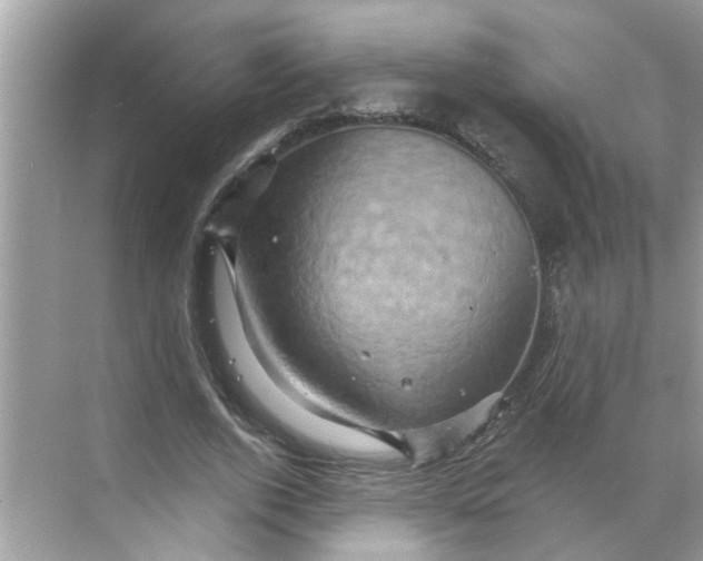 X0000068740728200605121543